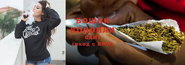 ПСИЛОЦИБИНОВЫЕ ГРИБЫ Белоозёрский