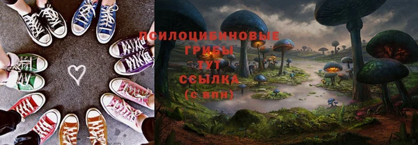 молекула духа Беломорск