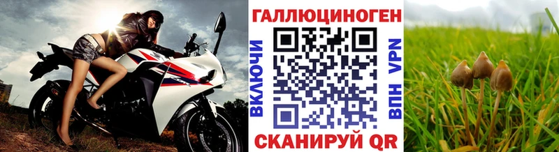 Купить закладки  Сергач  Псилоцибиновые грибы ЛСД 